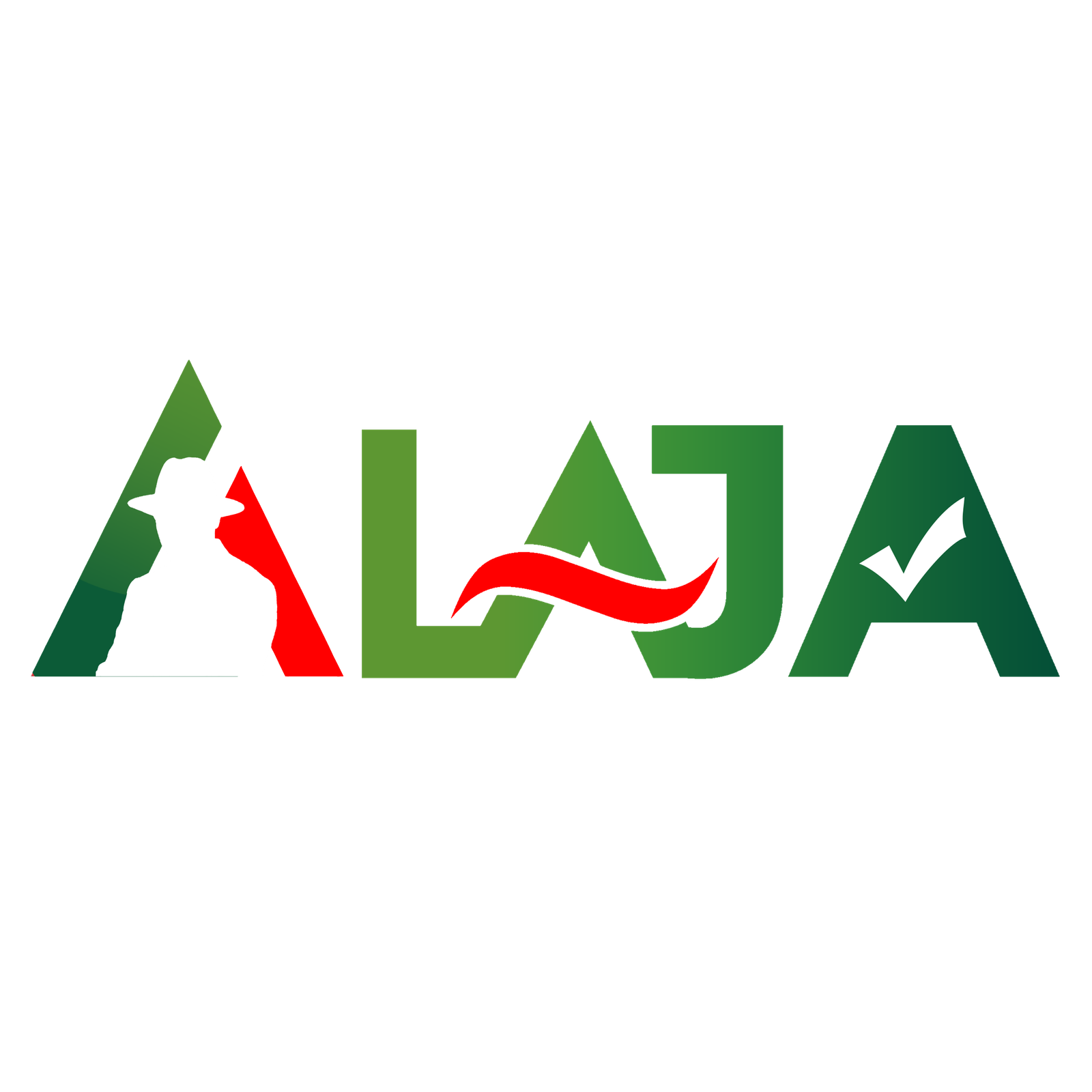 Adelaja Adeoye | Vision. Action. Impact.