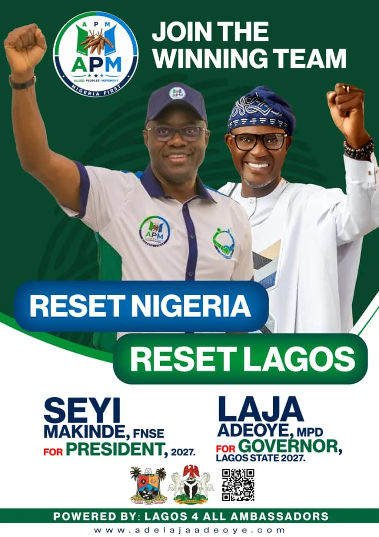 RESET NIGERIA: Building a Nation That Works for the People